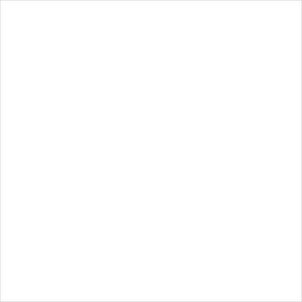 Zest Satin White Ceiling Panel 250mm x 2.6m x 10mm Pk4