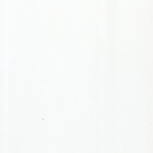Zest Shower Panel 1m x 10mm x 2.4m White Gloss