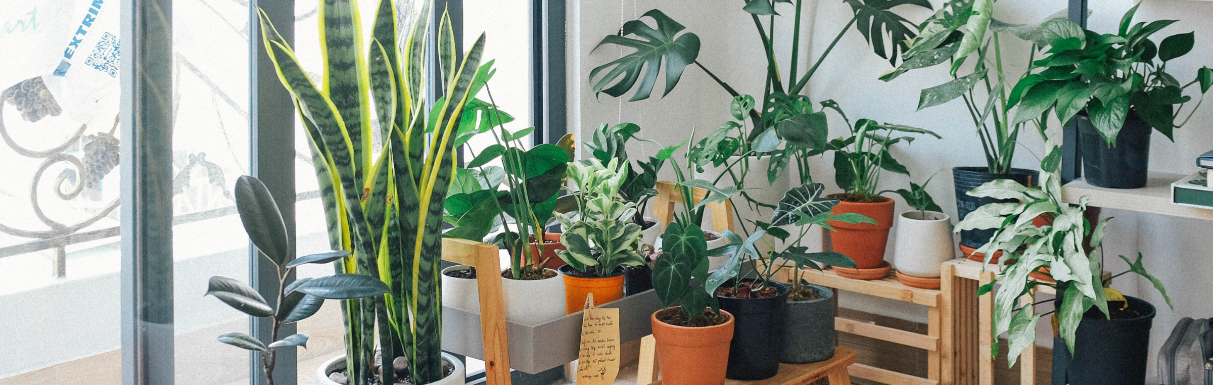 Tips to Prevent Window Moisture | indoor plants sitting beside a grey sliding door