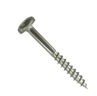 Fortex Stainless Steel Screws 30mm (250)