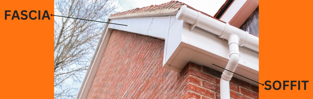 Photo of fascia and soffit with labels.