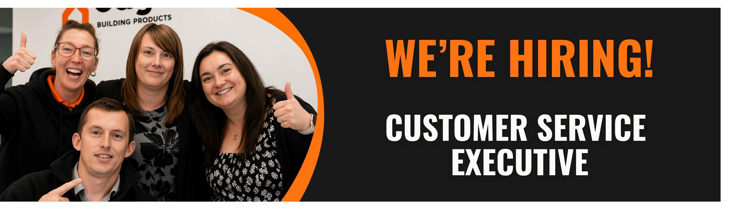 CUSTOMER SERVICE EXECUTIVE